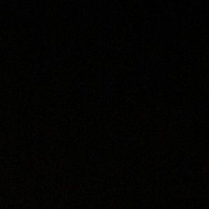 Meet your Posher, Shiloh